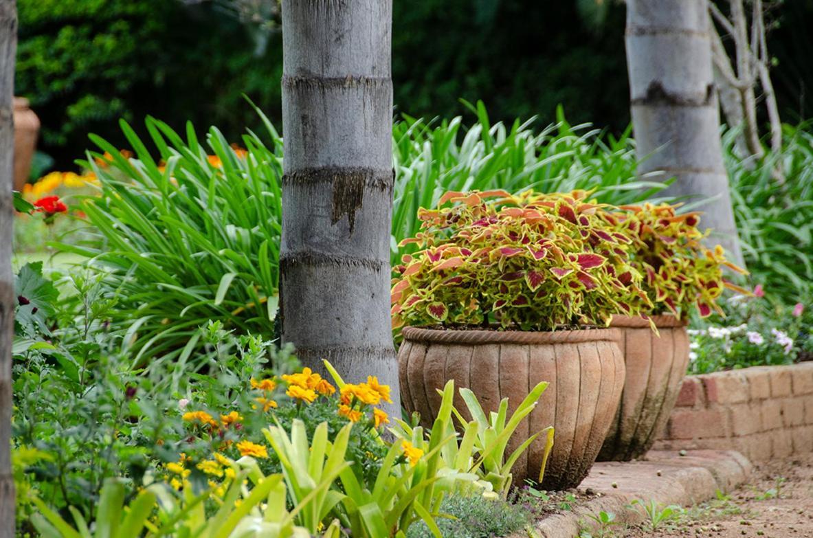 Hillside Manor Hotel Bulawayo Kültér fotó